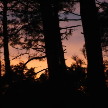 Maison De La Et Du Golf * Moliets-et-Maa