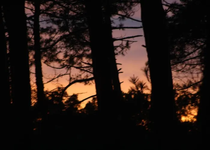 Maison De La Et Du Golf * モリエ・エマー